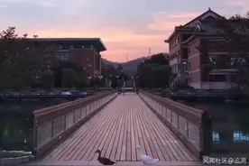 作为中山市第一的高中，学生初中来源和家庭背景，我做了个小调查图片