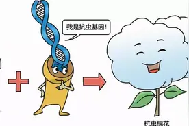 转基因的来源基因有哪些？安全吗？图片