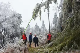 今冬南方用电迎“大考”跨省送电能否解决“缺电”难题？图片