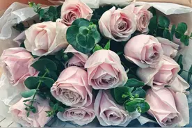 【友谊科普】爱情之花玫瑰 不仅可远观还有功效图片