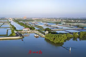 街镇一把手访谈｜南沙区万顷沙镇党委书记卢晓鹏：以大湾区交通枢纽为核心引擎，滨海小镇提速发展图片