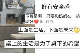 妈妈在桌上工作 女儿在桌下写作业 网友称：上面是生活 下面是希望视频封面