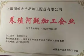 上海市民可以吃到本地养殖、加工的河豚了！上海首个合法河豚加工企业日销河豚800斤图片