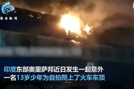 印度少年爬火车顶自拍触电，大火蔓延整列车，母亲当场哭晕过去图片
