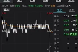尾盘闪崩跌停！徐翔概念股260亿市值蒸发，提前锁定退市，云南首富无力回天图片