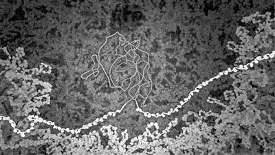 《科学》评出2020年十大突破