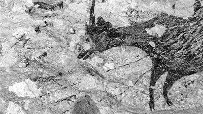 《科学》评出2020年十大突破