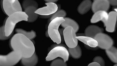 《科学》评出2020年十大突破