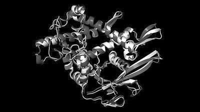 《科学》评出2020年十大突破