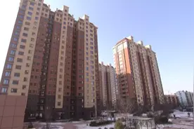 烟台市莱山区：居民回迁 幸福满满图片