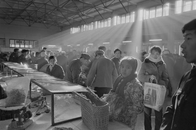 第十三届摄影金像奖揭晓：“拍什么都要做好自己的图片编辑”
