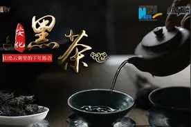 【四季的味道IV】安化黑茶：峰峦云雾里的千年陈香视频封面