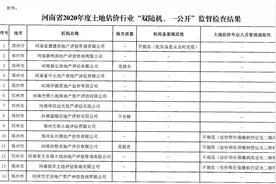 河南省自然资源厅公示：这10家地产评估机构不合格图片