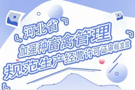 河北：从事种畜禽生产经营要“持证上岗”图片