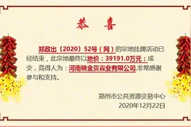成交价10.58亿元！河南这一房企竞得郑州三宗127亩土地图片