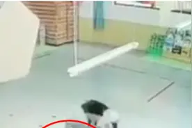 西安一幼师扔摔幼童，母亲：孩子下巴缝了8针，留心理阴影视频封面