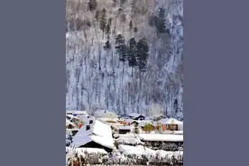 林海雪原威虎山图片