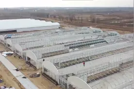 89秒丨利津建成东营最大规模肉鸭养殖场 鸭子住楼房还有智能保姆图片