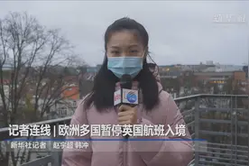 综合消息：多国发布与英国之间的航班禁令图片