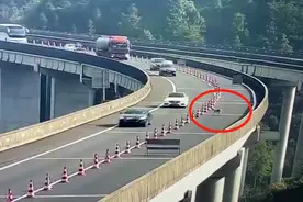 金毛“越狱”溜上高速，车主接到高速交警电话时根本不敢信图片
