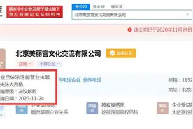 范冰冰名下文化传媒公司注销，1个月内注销两家公司图片
