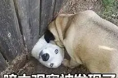 下楼扔个垃圾，手指断了！这个习惯很多人都有图片