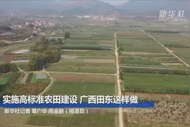 实施高标准农田建设 广西田东这样做视频封面