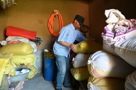 订单豌豆带来幸福，内蒙贫困户换个活法图片