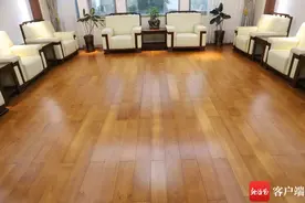 海南这棵“知名树”的跨界重生图片