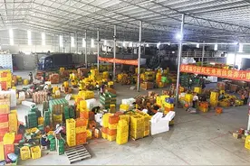 进村驻厂，形成嵌入式电商等有效模式图片