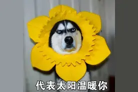 早报超有料丨《温暖的抱抱》常远还原“圆规”包饺子 王俊凯黑白大片曝光图片