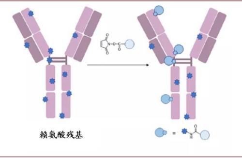 涓噾锛欰DC鑽墿钃勫娍寰呭彂 鏈夋湜寮曢涓嬩竴涓崄骞寸殑鏂拌嵂鐮斿彂