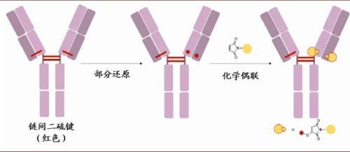 涓噾锛欰DC鑽墿钃勫娍寰呭彂 鏈夋湜寮曢涓嬩竴涓崄骞寸殑鏂拌嵂鐮斿彂