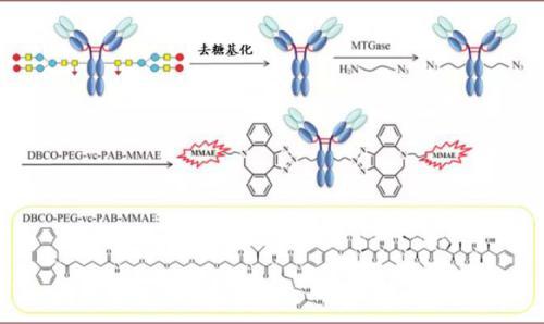 涓噾锛欰DC鑽墿钃勫娍寰呭彂 鏈夋湜寮曢涓嬩竴涓崄骞寸殑鏂拌嵂鐮斿彂