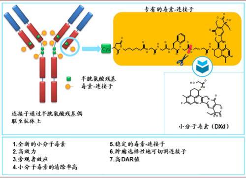 涓噾锛欰DC鑽墿钃勫娍寰呭彂 鏈夋湜寮曢涓嬩竴涓崄骞寸殑鏂拌嵂鐮斿彂
