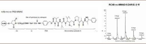 涓噾锛欰DC鑽墿钃勫娍寰呭彂 鏈夋湜寮曢涓嬩竴涓崄骞寸殑鏂拌嵂鐮斿彂