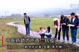 中医药助力巴西抗疫视频封面