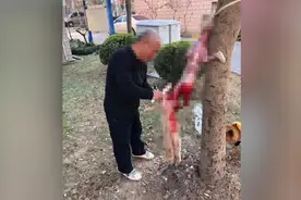 老人小区内捕猫剥皮？居委：系捡来的死猫，老人已去派出所视频封面