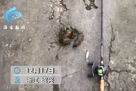 浙江男子钓鱼钓到一只松鼠，随后带回家细心照料，网友：除了鱼啥都能钓到图片