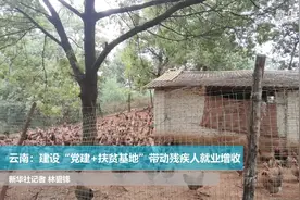 云南：建设“党建+扶贫基地”带动残疾人就业增收视频封面