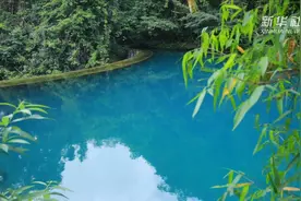 喀斯特“绿宝石”冬季旅游井然有序视频封面