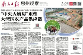 探索乡村文旅融合发展，碧桂园助力惠阳乡村振兴图片
