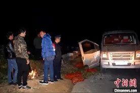 西双版纳：野象抢食夜袭小货车 幸未造成人员伤亡图片