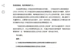 中国足协重罚教练员资质材料作假 353人成“失信人”图片