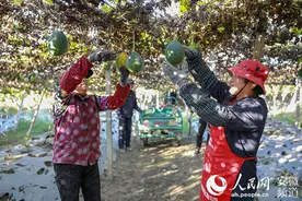 马鞍山战贫记：产业兴 人心齐图片