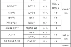 央美公布2021本科招生计划，建筑学等五个专业仅设置线上考试图片