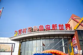 爷青回！芳村花鸟鱼虫新世界逛起来图片