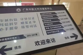 只要三万六无需本人到场 无血缘关系也能变“亲生”图片
