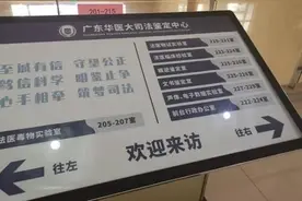 只要三万六无需本人到场 无血缘关系也能变“亲生”图片