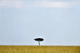 非洲出现神秘未知病原体，致死率或高达90%！专家：热带雨林中还潜藏很多图片